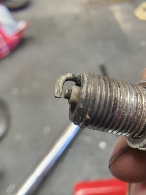 20210928_175851.jpg 20210928_175851.jpg