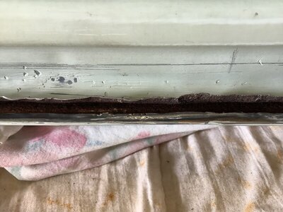 B36F9AE9-4E35-462B-BC4F-21F4F1DD4C8A.jpeg B36F9AE9-4E35-462B-BC4F-21F4F1DD4C8A.jpeg