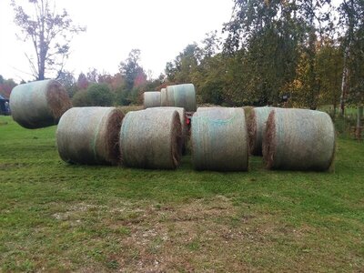 20211004_121359.jpg 20211004_121359.jpg