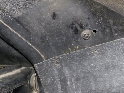 F00DF811-65E4-44FD-8436-A1A098835880.jpeg F00DF811-65E4-44FD-8436-A1A098835880.jpeg