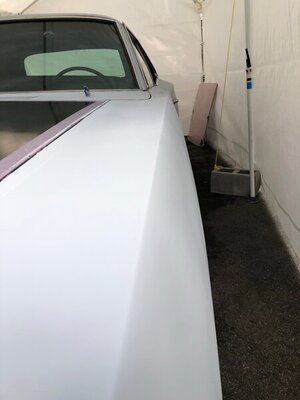 943125B0-120F-412E-9423-48E43B54E639.jpeg 943125B0-120F-412E-9423-48E43B54E639.jpeg