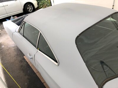 C40DA740-C51F-4414-81B2-F5C7660C5824.jpeg C40DA740-C51F-4414-81B2-F5C7660C5824.jpeg