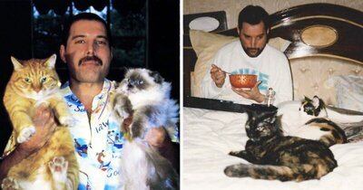 Freddie Mercury with two kitties.jpg