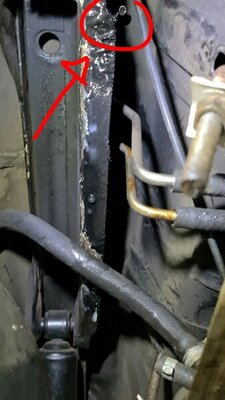 aviary-image-1633936822950.jpeg aviary-image-1633936822950.jpeg