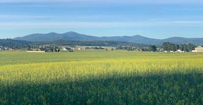 5D9A64CA-B940-4226-AB45-79176C36EA7F.jpeg 5D9A64CA-B940-4226-AB45-79176C36EA7F.jpeg