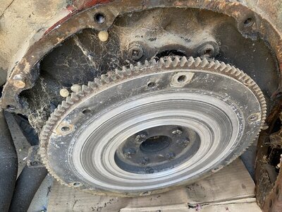 IMG_9262.JPG IMG_9262.JPG