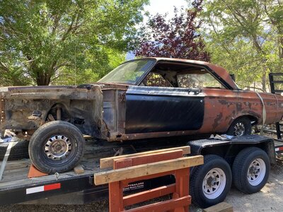 IMG_9336.JPG IMG_9336.JPG