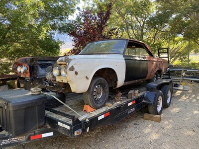 IMG_9393.JPG IMG_9393.JPG