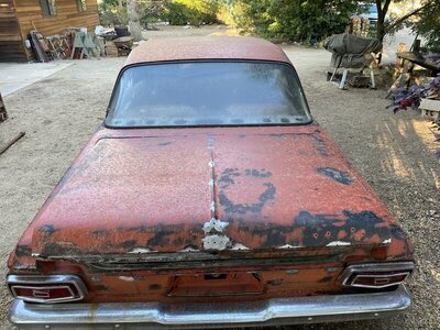 IMG_9551.JPG IMG_9551.JPG