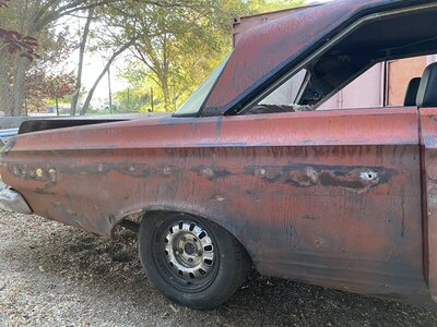 IMG_9556.JPG IMG_9556.JPG