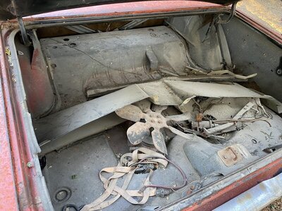 IMG_9561.JPG IMG_9561.JPG