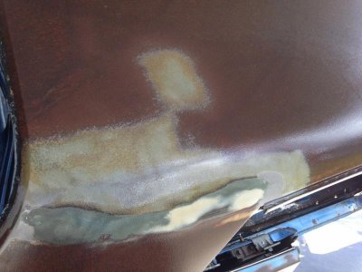 IMG_3575.jpg IMG_3575.jpg