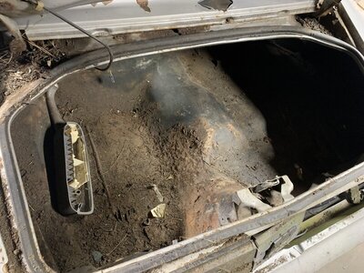 2351FC28-0088-443A-A557-470ED1241A4A.jpeg 2351FC28-0088-443A-A557-470ED1241A4A.jpeg