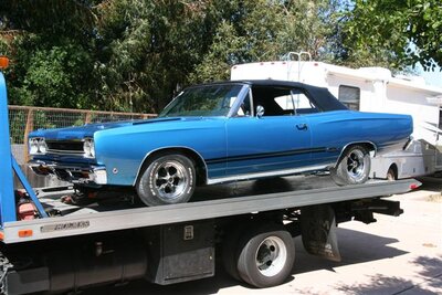 IMG_8453 (Small).JPG IMG_8453 (Small).JPG