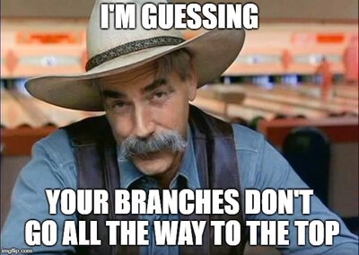 Smiley Sam Elliot I'm guessing your branches don't go all the wat to the top.jpg