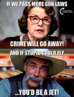 Gun Control Sam Elliot Dianne Feinstein More Crime  -if stupid could fly youd'd be a Jet-.jpg