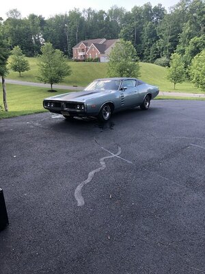 IMG-1667.jpg IMG-1667.jpg