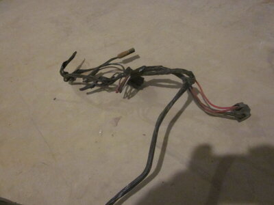 IMG_9136.JPG IMG_9136.JPG