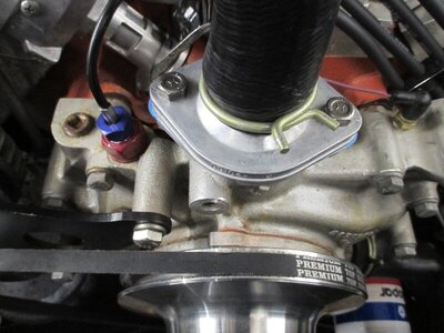 IMG_3204 (Large).JPG