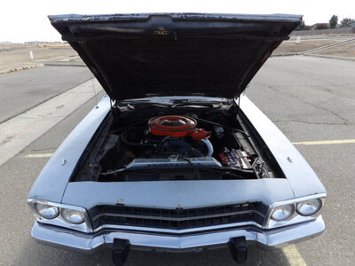 101_7848.JPG 101_7848.JPG