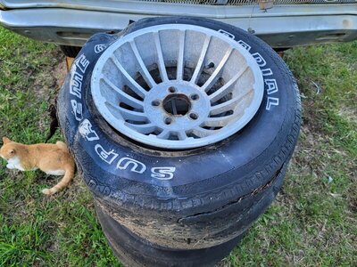 Resized_20211025_172052.jpeg Resized_20211025_172052.jpeg