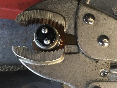 58BD0B75-B574-4B73-840B-117DA119D65E.jpeg 58BD0B75-B574-4B73-840B-117DA119D65E.jpeg