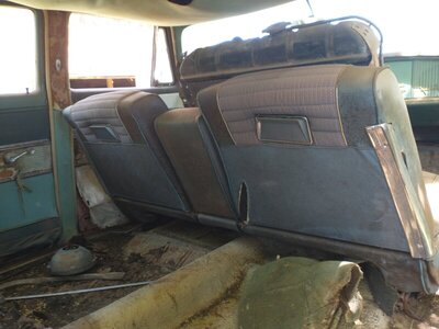 IMG_20210619_140526785.jpg IMG_20210619_140526785.jpg