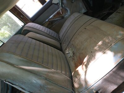 IMG_20210619_140612689.jpg IMG_20210619_140612689.jpg