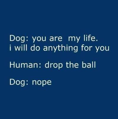 7363c0f7fa7b7d3001c1f0619f684f8cdb5a5c5b.jpg