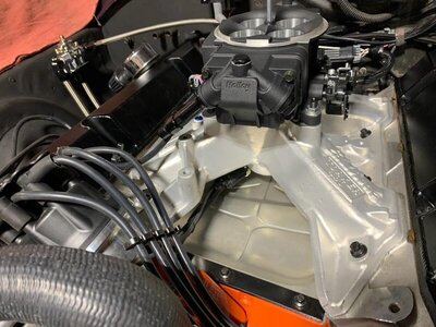 resto49.jpg resto49.jpg