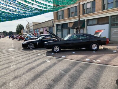 245245166_10222788805001508_7900969090263146178_n.jpg 245245166_10222788805001508_7900969090263146178_n.jpg