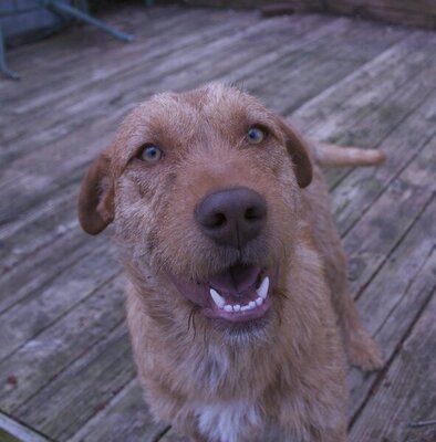 DSC_1114.jpeg DSC_1114.jpeg