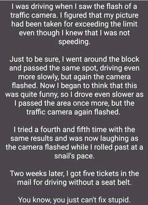 Seat Belt Ticket.jpg