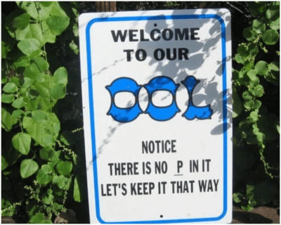 image-N1DXCbijHPPnnSw6.jpg