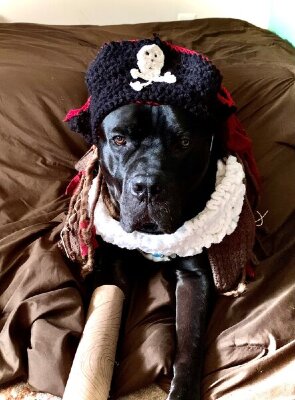 pirate-jpg-jpg.jpg pirate-jpg-jpg.jpg