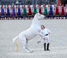 Screen Shot 2021-11-09 at 12.16.45 AM.png Screen Shot 2021-11-09 at 12.16.45 AM.png