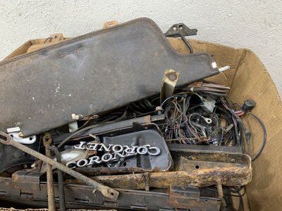 1E5FD181-D981-4BD9-AF3B-5D28519A9775.jpeg 1E5FD181-D981-4BD9-AF3B-5D28519A9775.jpeg