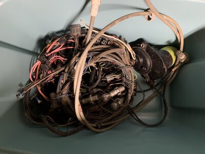 24EAB273-999E-4984-9995-F6BE6017A5BF.jpeg 24EAB273-999E-4984-9995-F6BE6017A5BF.jpeg