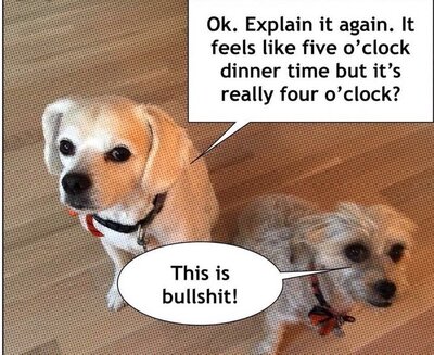 Dogs.jpg