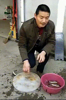 tumblr_pl8m7g4eSt1v15vh6o1_250.gif