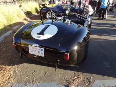 Shelby's at SCS 018.jpg