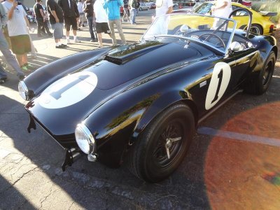 Shelby's at SCS 027.jpg
