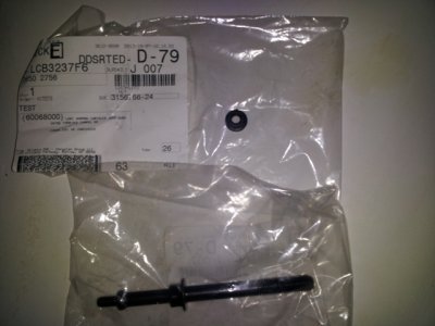 sm_hemistud.jpg sm_hemistud.jpg