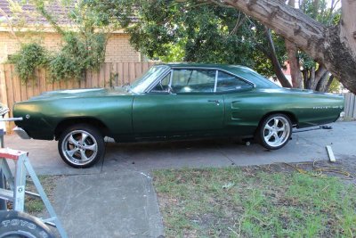 MCoronet9.jpg MCoronet9.jpg