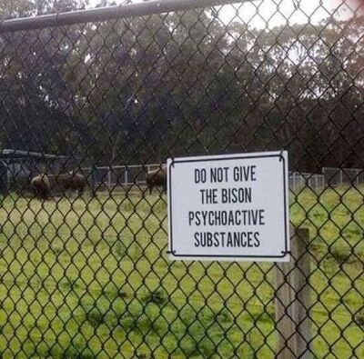 790de156ce9d51598107c6a195.jpg 790de156ce9d51598107c6a195.jpg