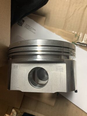 955F8A49-F75E-4687-8C83-21E86F533D6B.jpeg 955F8A49-F75E-4687-8C83-21E86F533D6B.jpeg