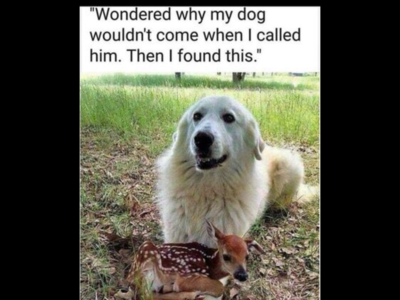 85F2DE1A-8634-47A2-B2F9-5E6C89797281.png 85F2DE1A-8634-47A2-B2F9-5E6C89797281.png