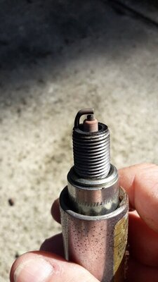 20211113_105321_resize_41.jpg 20211113_105321_resize_41.jpg