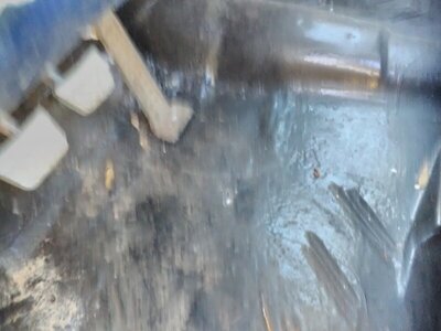 IMG_20211113_135254.jpg IMG_20211113_135254.jpg