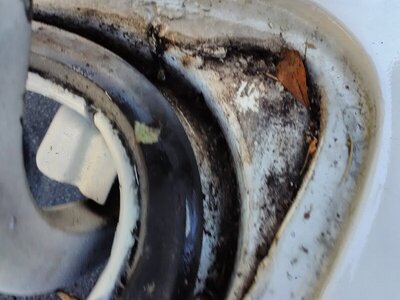 IMG_20211113_135133.jpg IMG_20211113_135133.jpg